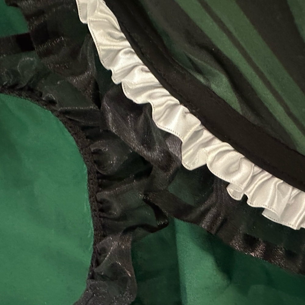 Haunted Mansion Apron Costume - Picture 6 of 8